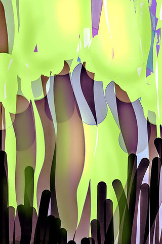 Rain Forest White Modern Wood Framed Art Print with Double Matting by Silva, Dpaulinos