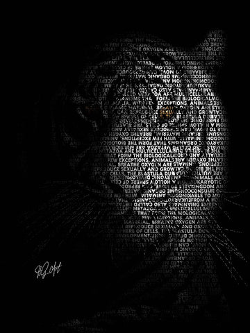 The Tiger Black Modern Wood Framed Art Print by Oladapo, Ojenike