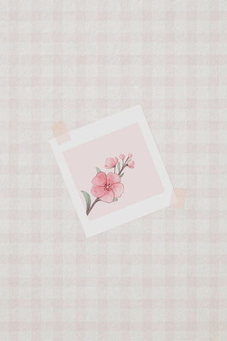 Pink Cherry Blossom White Modern Wood Framed Art Print with Double Matting by Thai, Xuan