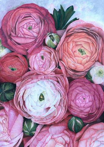 Arleth ranunculus bouquet in cold pink Black Modern Wood Framed Art Print by Laiz Blursbyai, Rosana