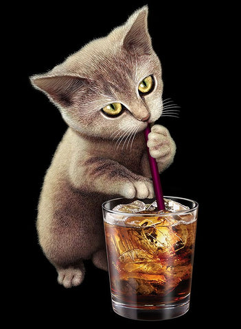 Cat and Soft Drink Black Modern Wood Framed Art Print by Lawless, Adam