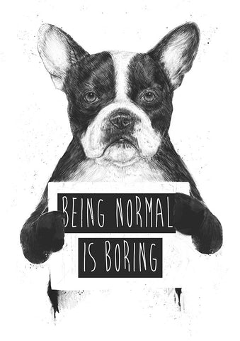 Being Normal Is Boring White Modern Wood Framed Art Print with Double Matting by Solti, Balazs