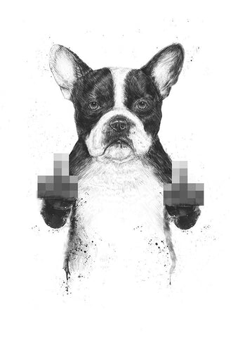 Censored dog Black Modern Wood Framed Art Print by Solti, Balazs