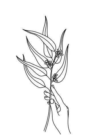 Seeded eucalyptus line art Black Modern Wood Framed Art Print by Laiz Blursbyai, Rosana