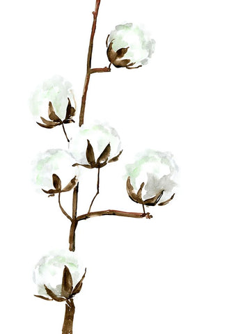 Watercolor cotton branch I White Modern Wood Framed Art Print with Double Matting by Laiz Blursbyai, Rosana