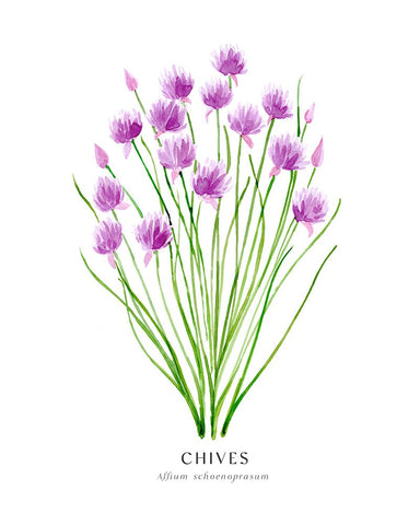 Chives I Black Modern Wood Framed Art Print by Laiz Blursbyai, Rosana