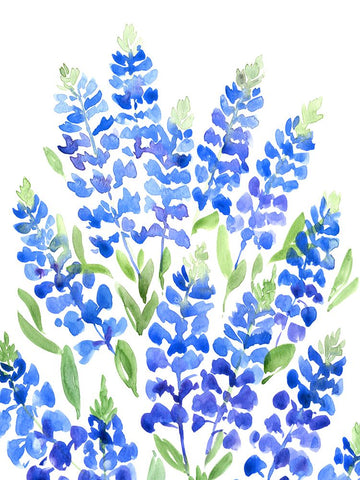 Watercolor Texas bluebonnets White Modern Wood Framed Art Print with Double Matting by Laiz Blursbyai, Rosana