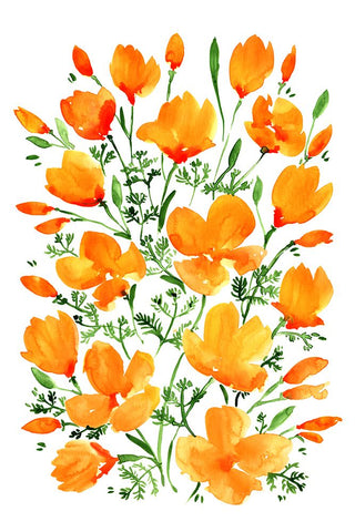 Watercolor California poppies Black Modern Wood Framed Art Print by Laiz Blursbyai, Rosana