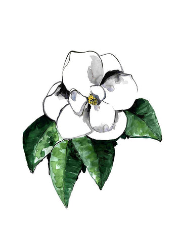 White magnolia Black Modern Wood Framed Art Print by Laiz Blursbyai, Rosana