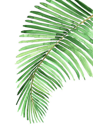 Palm leaf in loose watercolor Black Modern Wood Framed Art Print by Laiz Blursbyai, Rosana