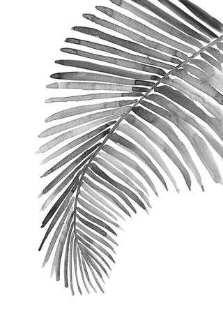 Palm leaf in loose watercolor bw White Modern Wood Framed Art Print with Double Matting by Laiz Blursbyai, Rosana