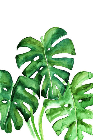 Monstera leaves in loose watercolor Black Modern Wood Framed Art Print by Laiz Blursbyai, Rosana