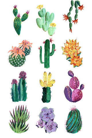 Collection of cacti White Modern Wood Framed Art Print with Double Matting by Laiz Blursbyai, Rosana