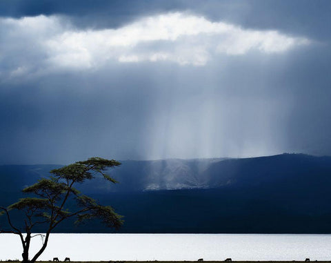 Clouds Over Lake Naivasha Black Ornate Wood Framed Art Print with Double Matting by Flour, Piet