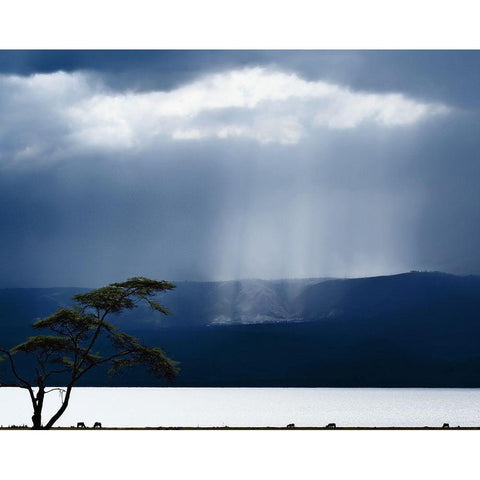 Clouds Over Lake Naivasha Black Modern Wood Framed Art Print with Double Matting by Flour, Piet