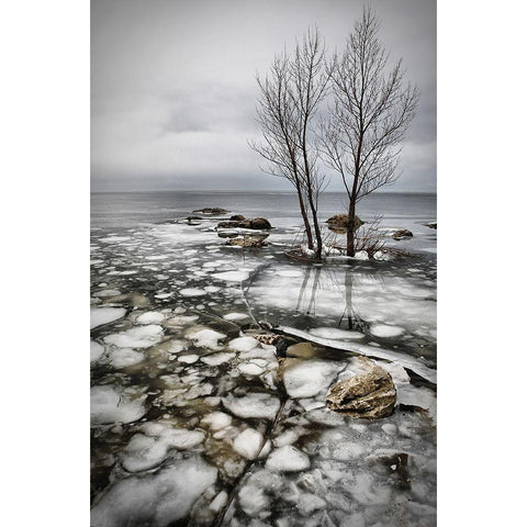 Frozen Lake Black Modern Wood Framed Art Print with Double Matting by Vidak, Vedran