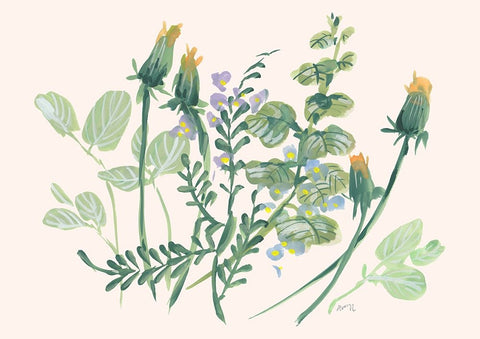 Closed Dandelions Black Ornate Wood Framed Art Print with Double Matting by Zwara, Ania