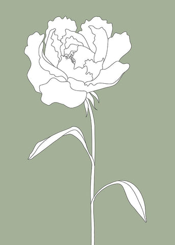 Rose in Green Black Modern Wood Framed Art Print by Pictufy Studio II