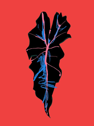 Alocasia Polly Red Black Ornate Wood Framed Art Print with Double Matting by Gulina, Francesco