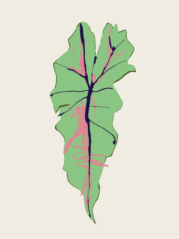 Alocasia Polly Black Modern Wood Framed Art Print by Gulina, Francesco