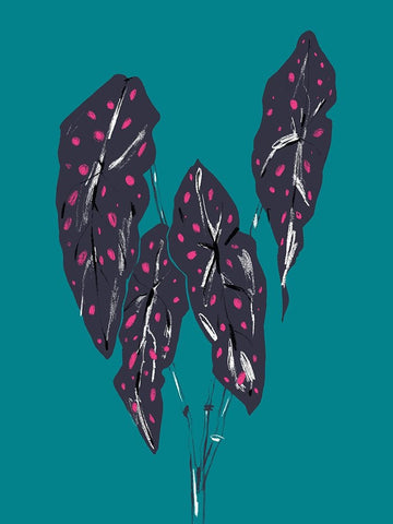 Begonia Maculata Dark White Modern Wood Framed Art Print with Double Matting by Gulina, Francesco