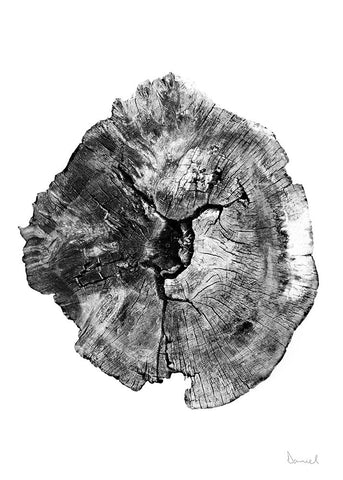 Oak Log White Modern Wood Framed Art Print with Double Matting by Hobday, Dan