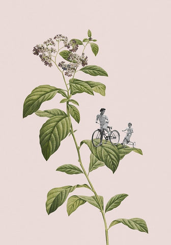 Botanical cycling Black Modern Wood Framed Art Print by Floral Studio, Frida