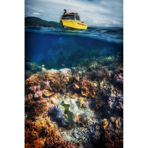 Treasure Hunters Gold Ornate Wood Framed Art Print with Double Matting by Stranak, Pavol