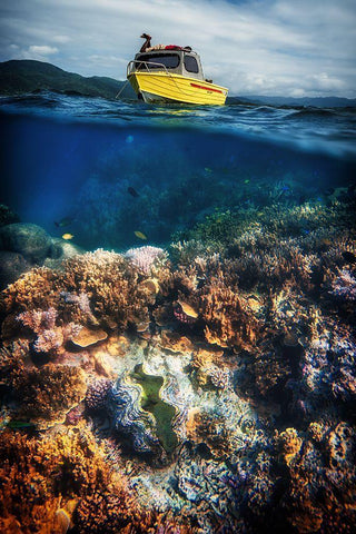 Treasure Hunters Black Ornate Wood Framed Art Print with Double Matting by Stranak, Pavol