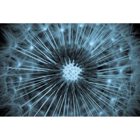 (O) Black Modern Wood Framed Art Print by Legraverend, Guillaume