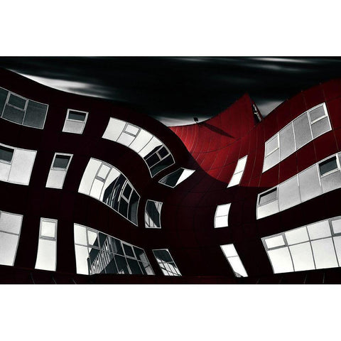 Butterfly Black Modern Wood Framed Art Print with Double Matting by Krivec, Samanta