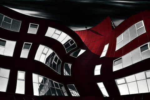 Butterfly Black Ornate Wood Framed Art Print with Double Matting by Krivec, Samanta