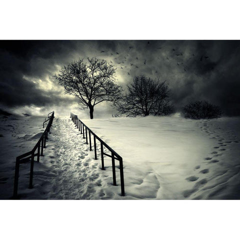 Stairs To The Sanctuary Ii Black Modern Wood Framed Art Print with Double Matting by David Senechal Photographie