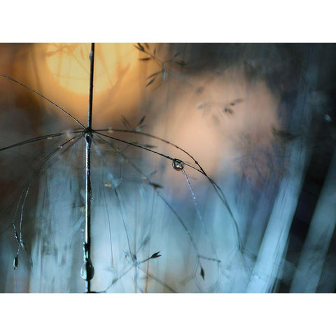 Almost Dark Black Modern Wood Framed Art Print with Double Matting by Westum, Heidi