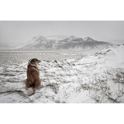 Snowstorm White Modern Wood Framed Art Print by Ingibergsson, Bragi