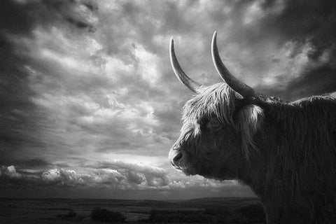 The Highlands Black Ornate Wood Framed Art Print with Double Matting by Droste, Holger