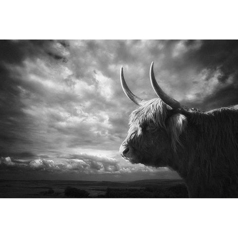 The Highlands White Modern Wood Framed Art Print by Droste, Holger