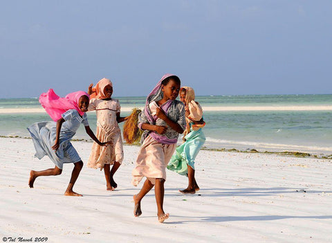 Z1 Black Ornate Wood Framed Art Print with Double Matting by Taln