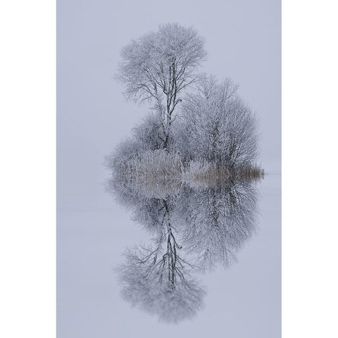 Winter Stillness Black Modern Wood Framed Art Print with Double Matting by Maier, Norbert