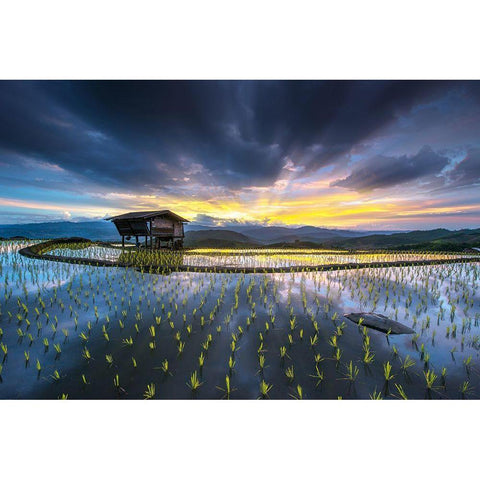 Light In Rice Gold Ornate Wood Framed Art Print with Double Matting by Intarob, Sarawut