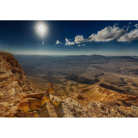 Morning View White Modern Wood Framed Art Print by Meirovich, Ido