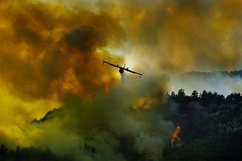 Canadair Aircraft In Action - Fighting For The Salvation Of The Forest. Black Ornate Wood Framed Art Print with Double Matting by Grambone, Antonio