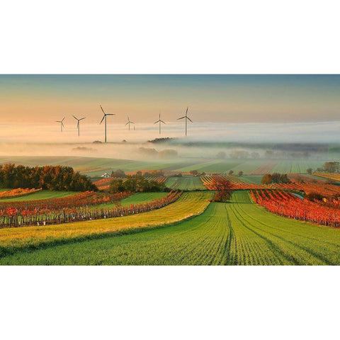 Autumn Atmosphere In Vineyards Black Modern Wood Framed Art Print with Double Matting by Kovac, Matej