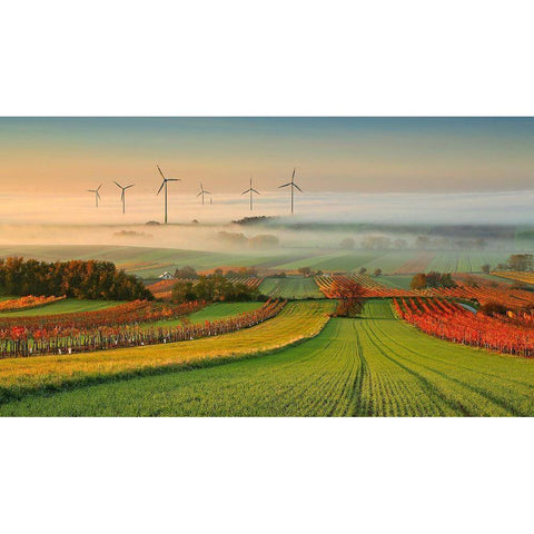 Autumn Atmosphere In Vineyards White Modern Wood Framed Art Print by Kovac, Matej