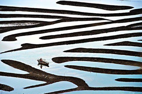 Labyrinth White Modern Wood Framed Art Print with Double Matting by Gunawan, Lina