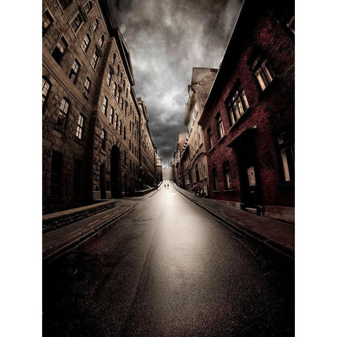 Dead End White Modern Wood Framed Art Print by David Senechal Photographie