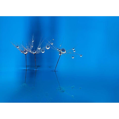 Blue Fun Black Modern Wood Framed Art Print by Westum, Heidi