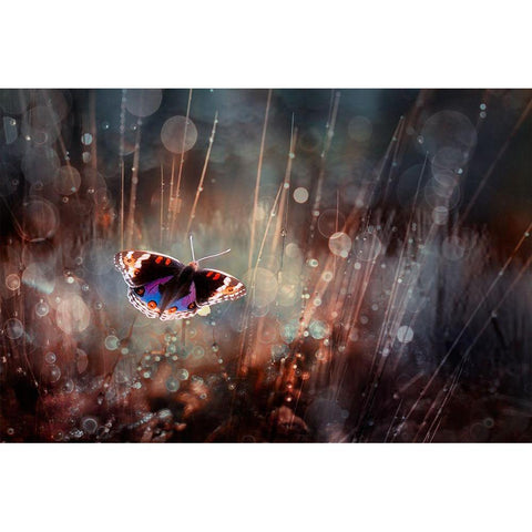 Traped Black Modern Wood Framed Art Print with Double Matting by Juniawan, Rooswandy