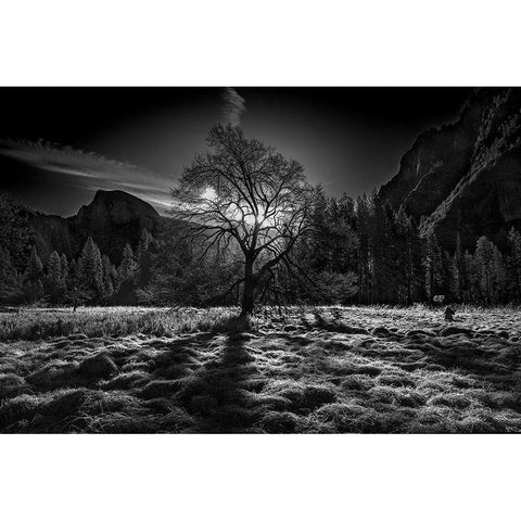 The Winter Spirit Black Modern Wood Framed Art Print with Double Matting by Chenglu, Simon