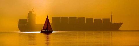 David A Golijat White Modern Wood Framed Art Print with Double Matting by Dartef, Pristov